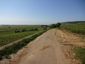 La Route des grands crus de Bourgogne