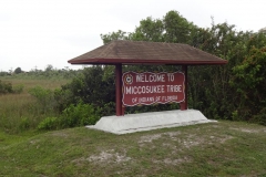 0520 - Trugschluss - vom Miccosukee Tribe zur Miccosukee Lodge sind es noch 25 Kilometer