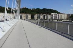 185 - Eine der vielen Brücken in Lyon über die ich fahren musste