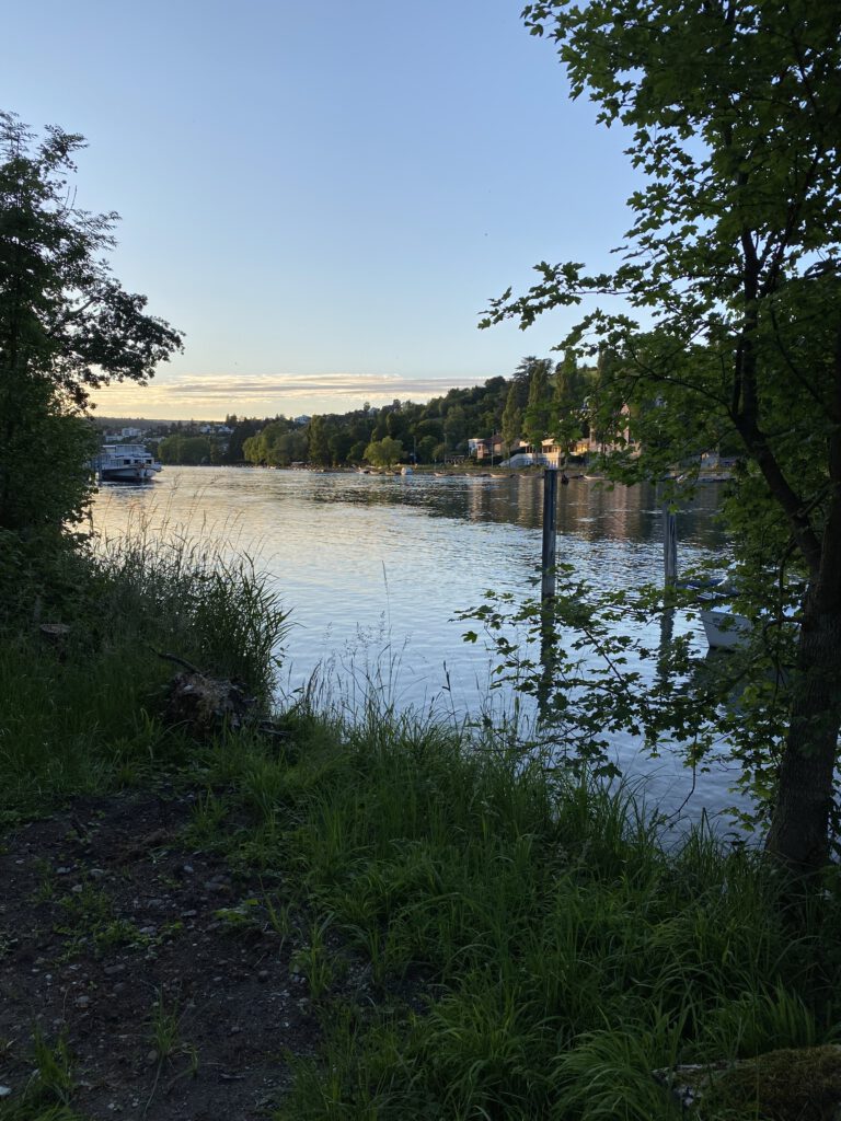 Morgenidylle am Rhein