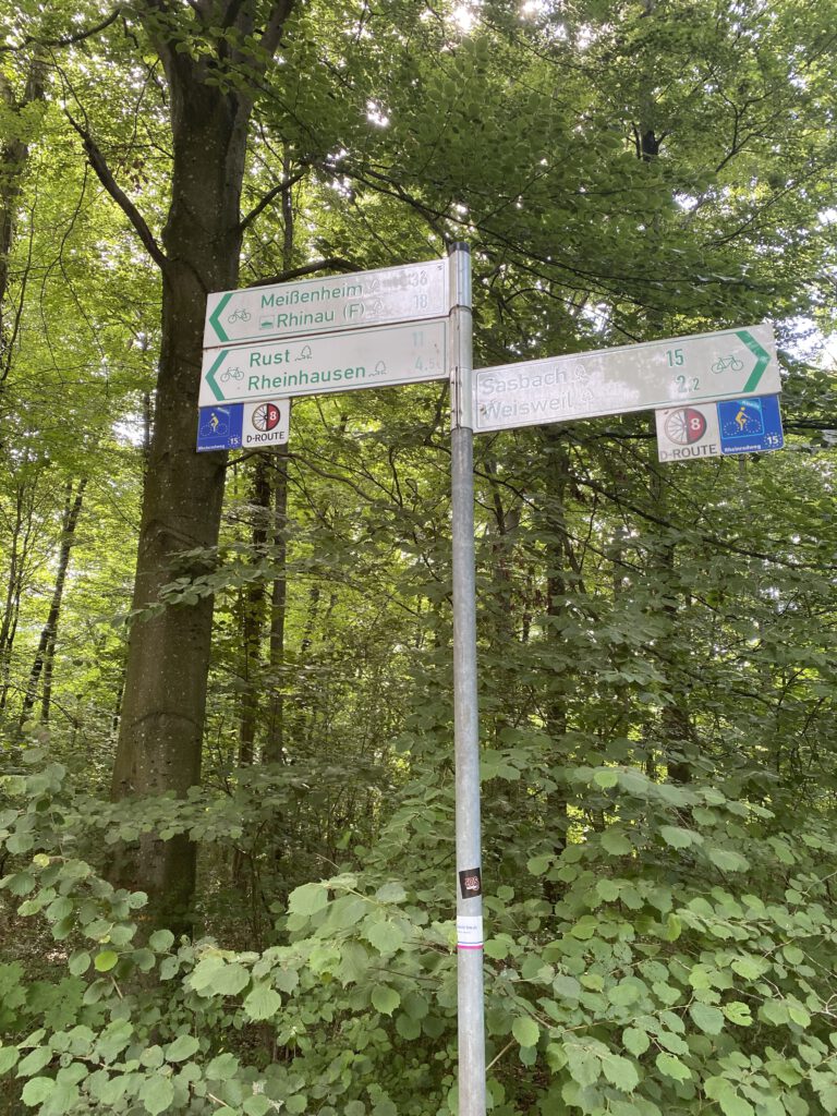 Rheinradweg EuroVelo 15 oder D-Route 8