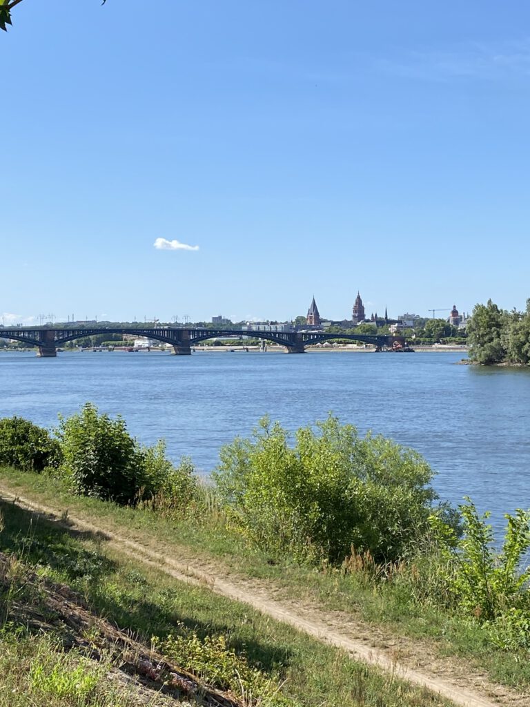 Blick auf Mainz auf der anderen Rheinseite